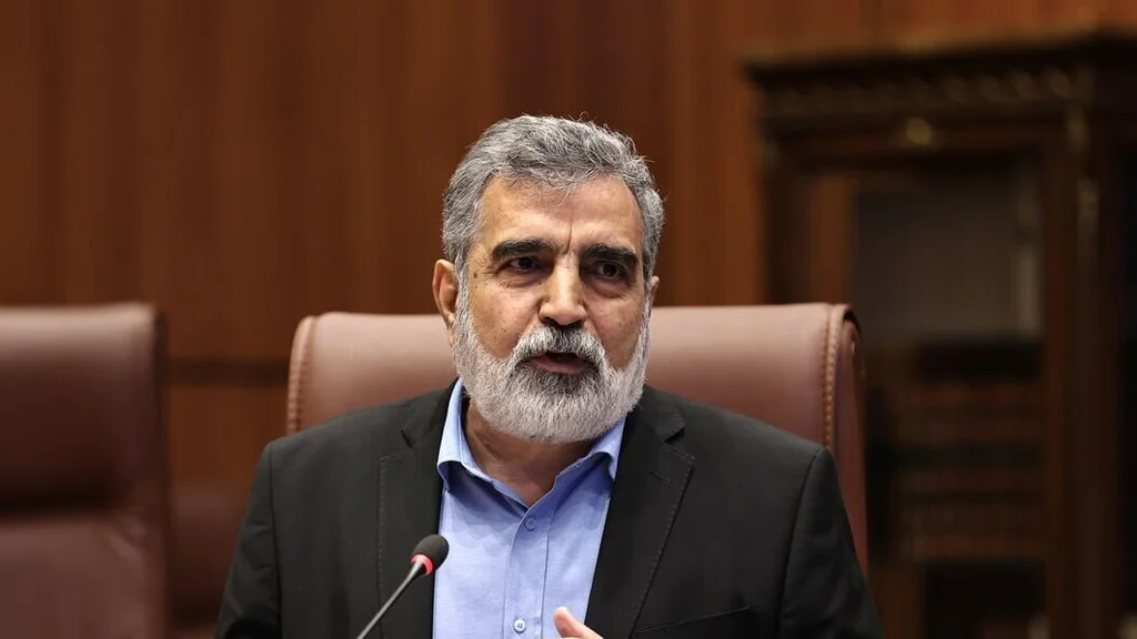 Iran AEOI condemns US barring of Eslami from IAEA General Conference