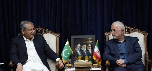 ایران اور پاکستان کے وزرائے داخلہ کا تہران میں ملاقات
