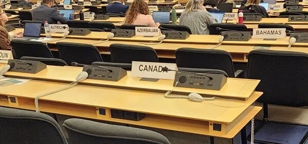 UN Human Rights Council session on Palestine held without several Western states