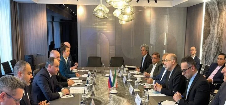 ایران اور روس کے آڈٹ اداروں نے تعاون بڑھانے پر اتفاق کیا