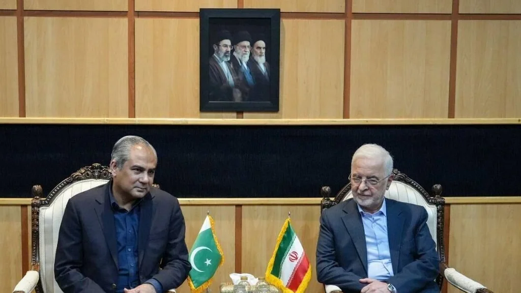 ایران اور پاکستان کے وزرائے داخلہ تہران میں ملاقات، دوطرفہ معاہدوں کو حتمی شکل دینے پر زور